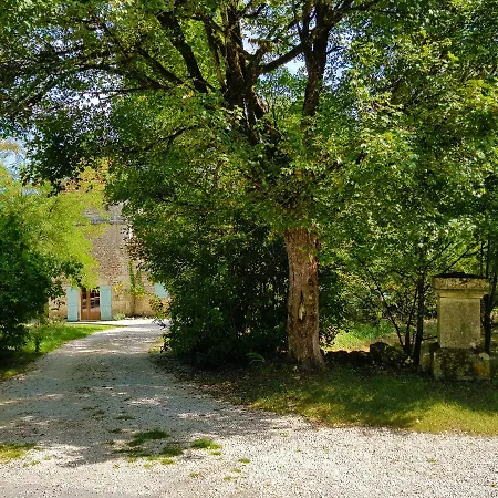 Character House With Swimming Pool *